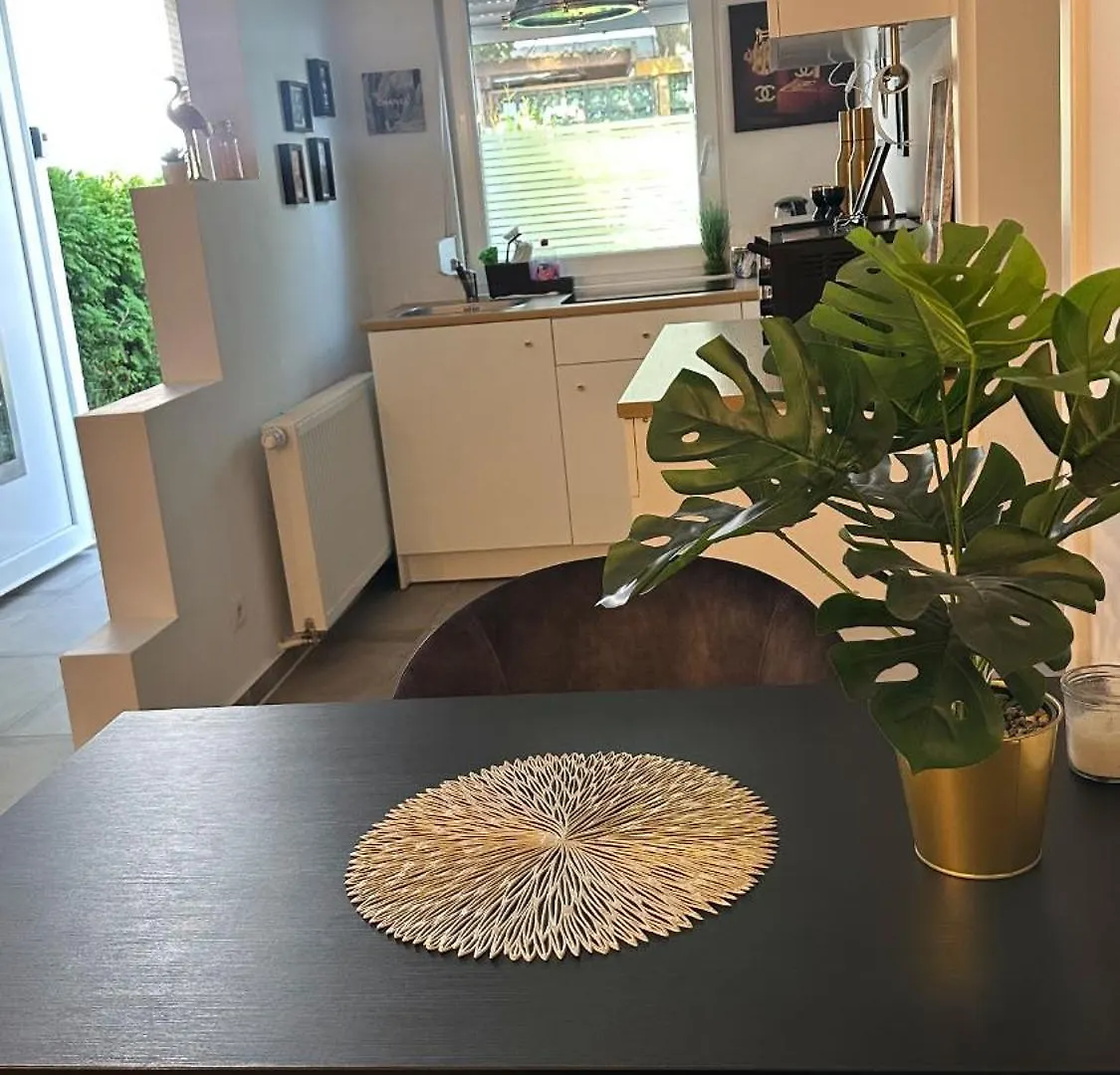 Deluxe Apartement Mit Terrasse Duisbourg 0*,